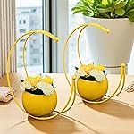 Moon Vase | Flower Vase for Living Room & Table Decor | Dining Table Decoration Items | Show Piece for Gift & Home Decor | Planters, Flower Pot for Living Room Table (Pack of 2, Yellow)