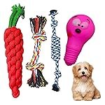 emily pets Dog Toys Set Dog Rubber Chew Toys, Rope Toys, Squeaky Toys All-in-One Set Dog Toys for Small to Medium Dogs (Pack of 4, Color May Vary)