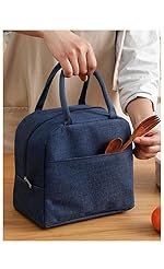 EUFLORIA Insulated Travel Lunch/Tiffin/Storage Bag for Women and Men Office, Collage and School (Multicolor P1A2)