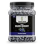 Granic Farms Premium Dried Blueberries Plum 500gm | Blueberries Plum | Whole and Unsweetened | Vegan and Gluten Free – Vitamin Rich | Low Fat Healthy Snacks | Dried Blueberries 500gm