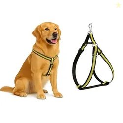 Dog Harness No Pull with Front Clip | Dog Walking Chest Harness with R