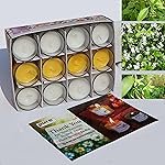 Pure Source India Pack of 12 Votive Scented Candles â Assorted Fragrances | Long-Lasting Aromatherapy Candles for Home, Decor, Spa & Gifting (Sandalwood, Jasmine, Vanilla)