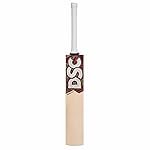 DSC Condor Motion English Willow Cricket Bat for Men and Boys | Ready to Play | Lightweight | Free Cover | Size-3