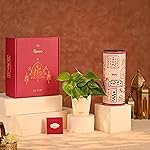 UGAOO Diwali Hamper 5