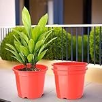 Kuber Industries (Pack of 3) Flower Pot | Fuldani Flower Pot | (8 Inch) Pots for Home, Terrace, Garden | Pots Stand for Plants | Phooldaan for Home D?cor | Synergy Indoor Plant Stand | Red