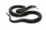 RZA 2026 (Snake Pack of 1 pcs) ZA Realistic Black Rubber Snake Toy – 28-inch Lifelike Garden Prop for Scaring Birds Black Skane Fake Snake Toy