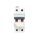 Legrand DX3 DP D4A AC MCB