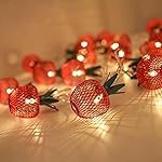 One94Store 3 Meter 10 LED Apple Metal String Lights â Perfect for Indoor/Outdoor Decoration for Diwali, Christmas, Birthday, Navratri, and Valentineâs Day Gifts(Warm White)