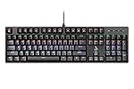 TAG Gamerz Illume 2.0 Mechanical Gaming Keyboard â 25 Anti-Ghosting Keys, Double Injection Keycaps, Rainbow RGB LED, 16 Lighting Modes, 50 Million Keystrokes, Windows Lock Key, for PC Desktop Gamers