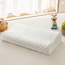 EVAGROW PLUS Memory Foam Foam Filled Flap Standard Size Pillow Pr...mo