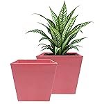 POTS4NATURE Square Pots for Plants | Lightweight Plastic Flower Pot for Indoor & Outdoor Home/Office/Table/Garden/Balcony Decoration | Terracotta Color | 6 Inches (Pack of 2)