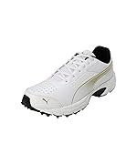 Puma Mens Cricket Power 2.0 Cricket Shoe
