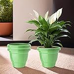 Urbane Home (Pack of 3) Flower Pot | 2-Layer Fuldani Flower Pot | (6 Inch) Pots for Terrace, Garden | Pots Stand for Plants | Phooldaan for Home DÃ©cor | Synergy Indoor Plant Stand | Green