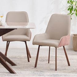 Home Centre | Dune | Metal | Dining Chairs | Beige | Set of 2 | 1 Year