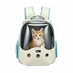 Amazon Basics Premium Playful Pet Carrier | Blue | Breathable and Stylish for Cats, Kittens and Puppies | Pet Travel Carrier