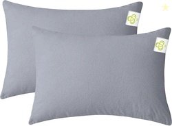 AVI Plain Plain Filled Zipper Standard Size Pillow Protector (2, ...mo