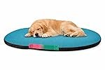 SITSNOOZE Rectangle Shape Dog Bed for Winter Season Extra Soft and Pet Beds Washable Designer Orthopaedic with Anti -Slip and Water Resistant Bottom (Torqoiuse, Large)