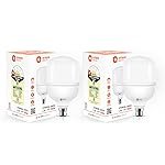 Orient Electric Eternal Shine LED Bulb 30W, B22d Cap, 6500K (Pack of 2)
