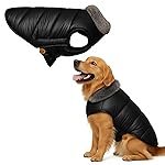 Sage Square Dog Winter Jacket Coat with Fur Collar, Light Weight, Ultra Warm Windproof, Waterproof Dog Jacket for Cold Weather, Thicker Fleece for Cold Weather (Black) (Medium – 18inch)