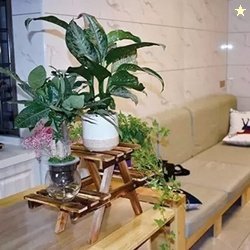 Anaya AfroZ Wooden Flower pot stand wood container & Vase stand p...mo